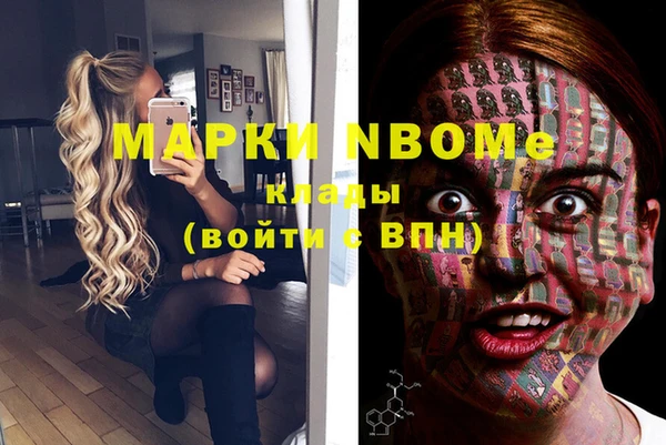 шишки Заволжье