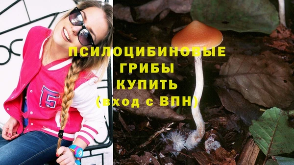 кокаин премиум Заводоуковск