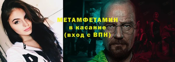 шишки Заволжье