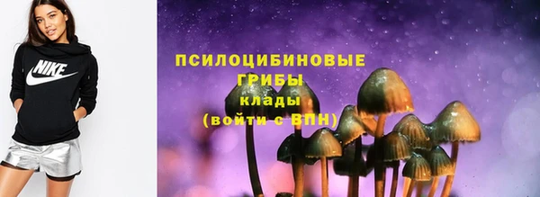 шишки Заволжье