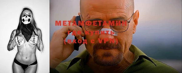 шишки Заволжье