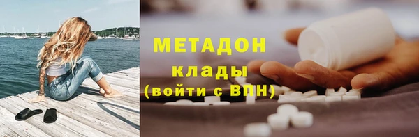 шишки Заволжье