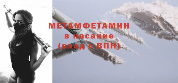 шишки Заволжье
