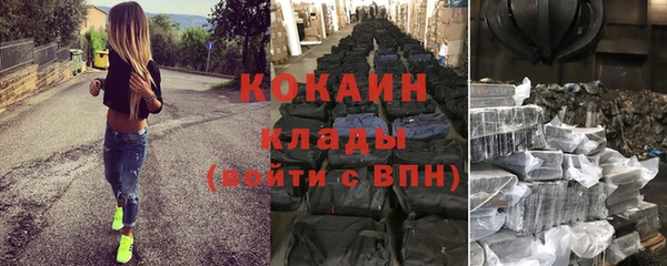 шишки Заволжье