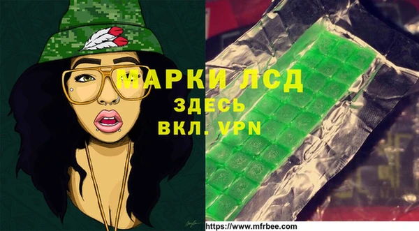 шишки Заволжье