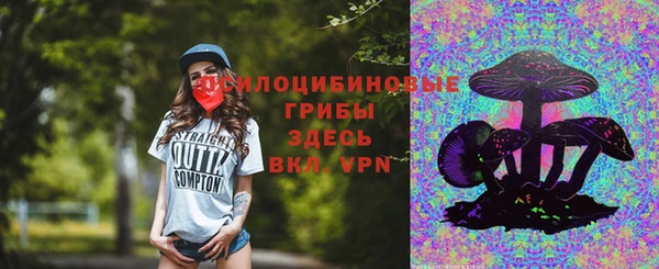 шишки Заволжье