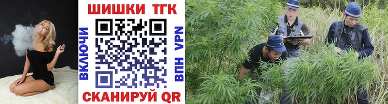 Бошки марихуана SATIVA & INDICA  Купить закладки  Гусиноозёрск 